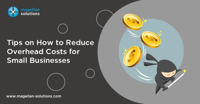 Tips on How to Reduce Overhead Costs for Small Businesses | by Magellan ...