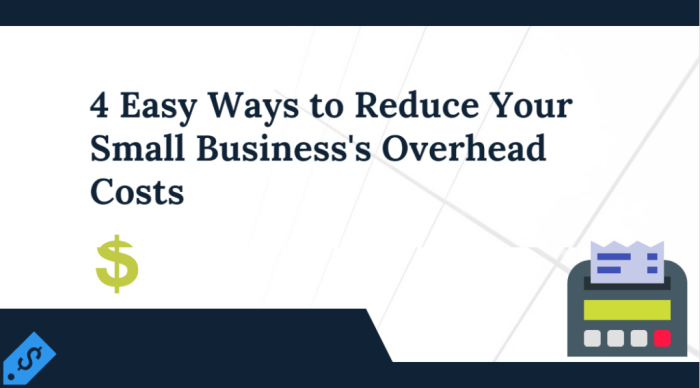 Ways to Reduce Overhead Costs of Your Small Business - projectcubicle