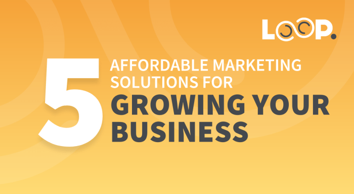 5 Affordable Marketing Solutions to Help Your Business Grow