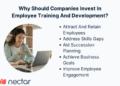 Employee Training Programs: How To Develop Your Talent
