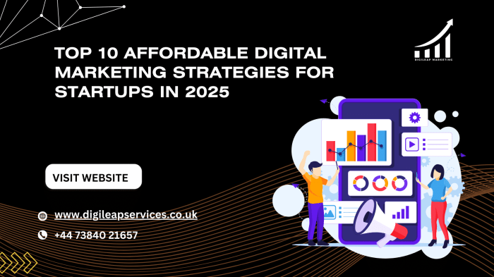 Top 10 Affordable Digital Marketing Strategies for Startups in 2025
